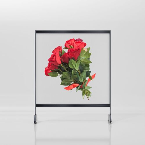 LED全息屏广告机P3.91