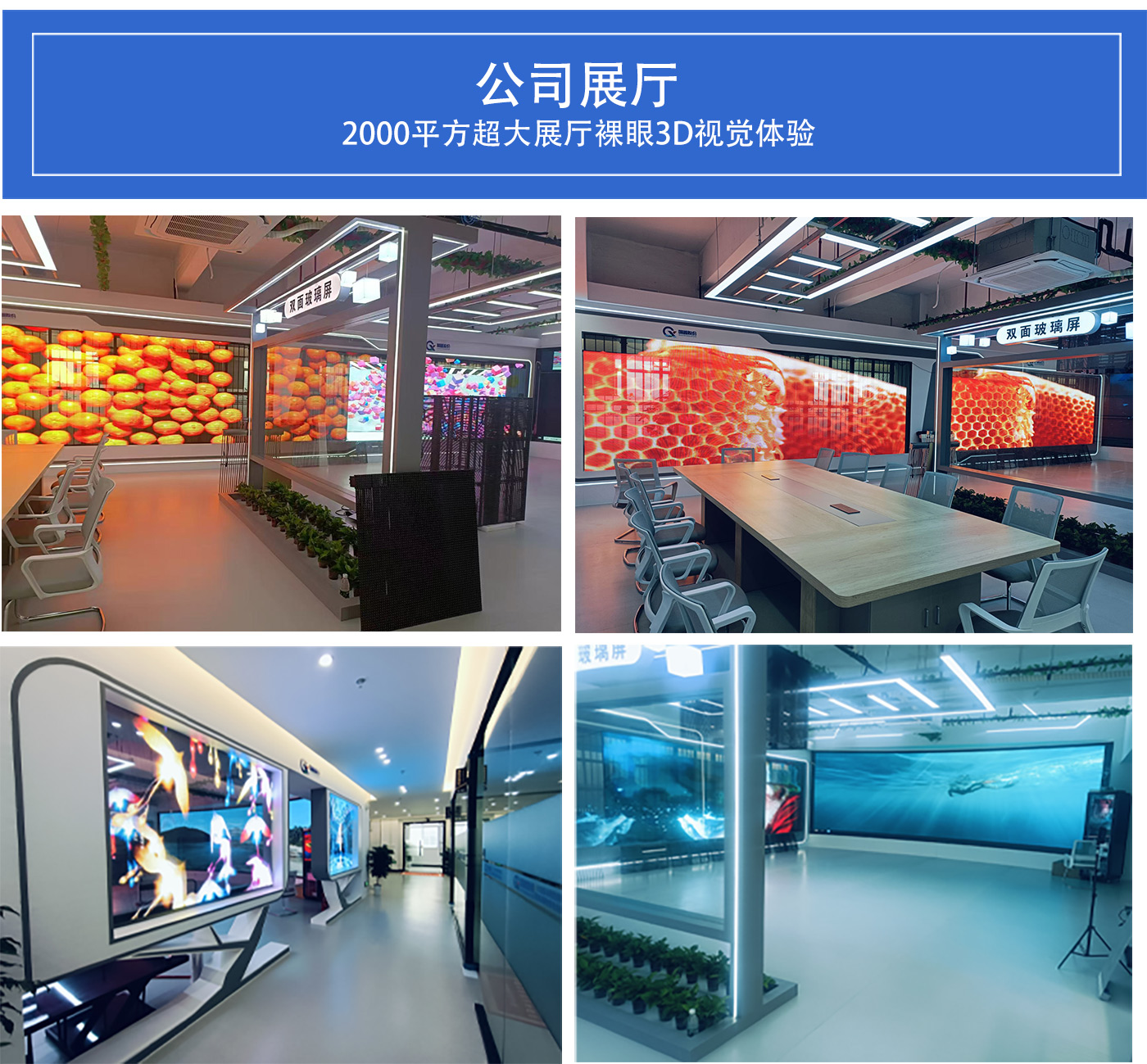 国鑫光电|LED贴膜屏|LED晶膜屏|贴膜屏厂家品牌_价格报价